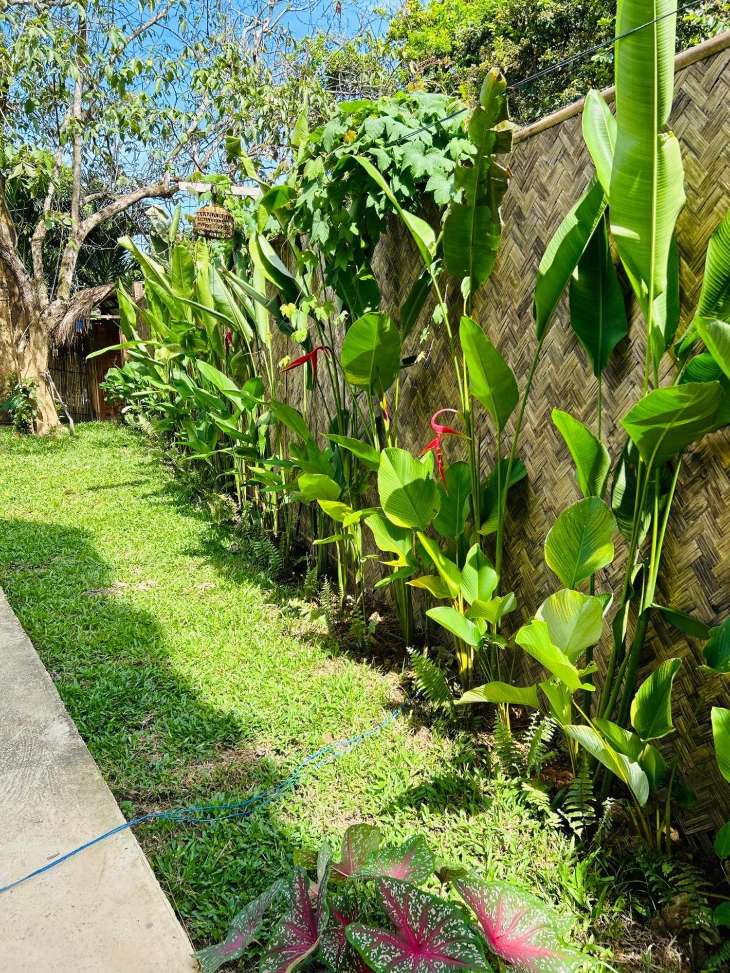 Lolas Villa El Nido Eksteriør bilde